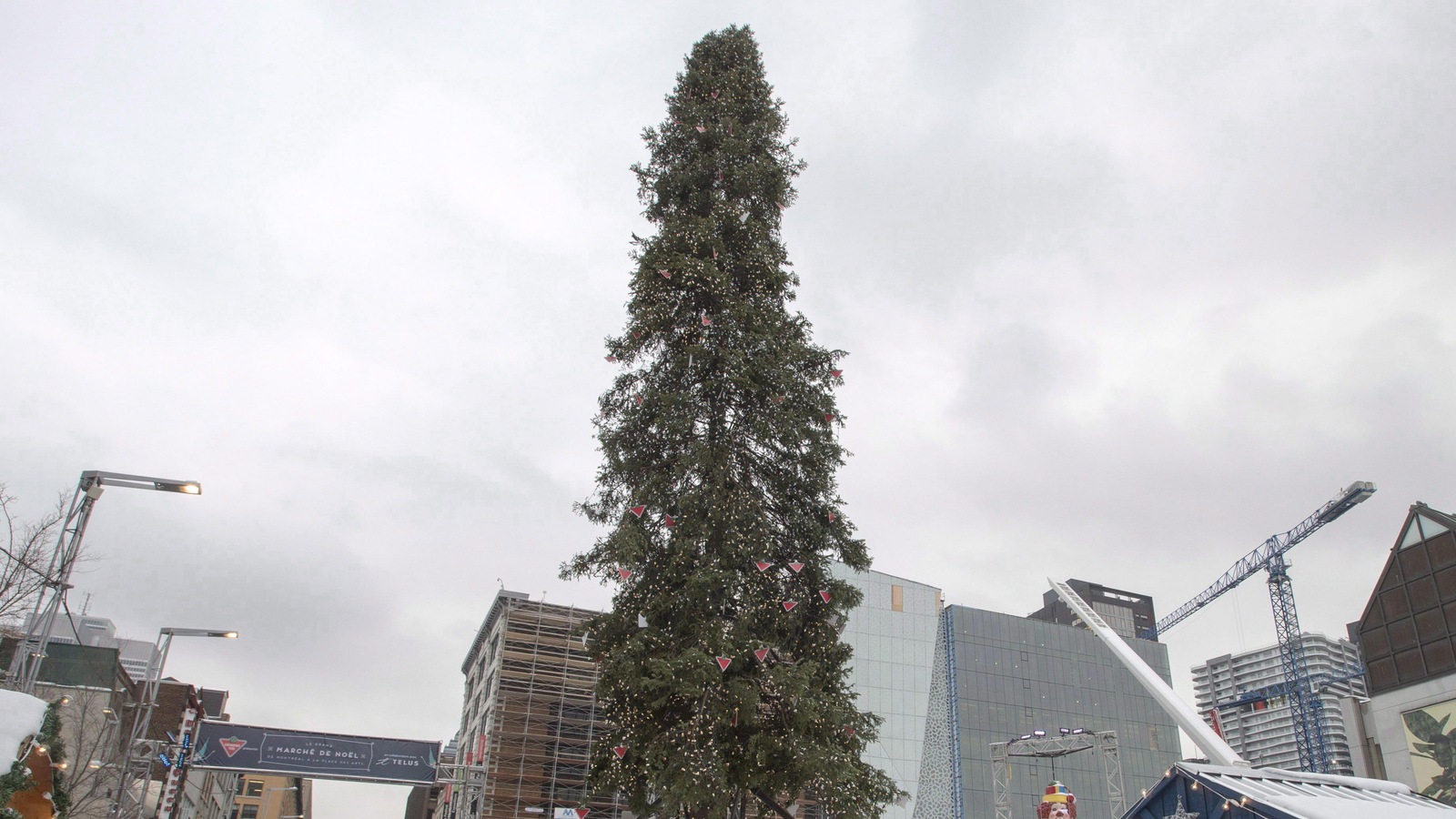L'arbre de Noël se tient, chétif, au centre de la place des Festivals, sous un ciel gris. L'arbre de Noël se tient, chétif, au centre de la place des Festivals, sous un ciel gris.