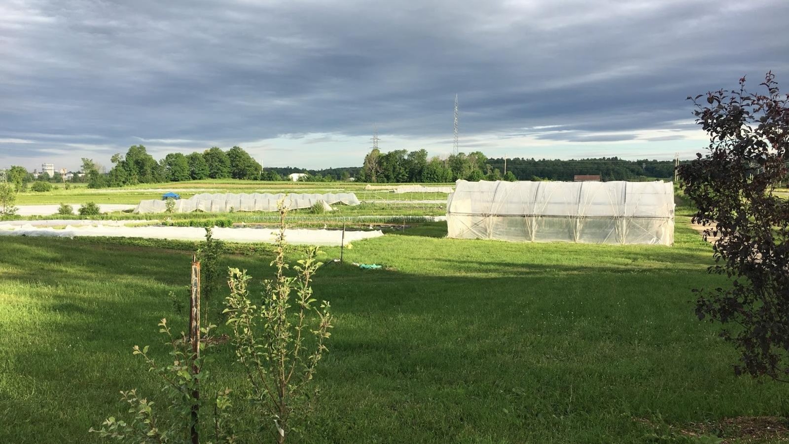 Un espace cultivable au sein de la Plateforme agricole de L’Ange-Gardien. Un espace cultivable au sein de la Plateforme agricole de L’Ange-Gardien.