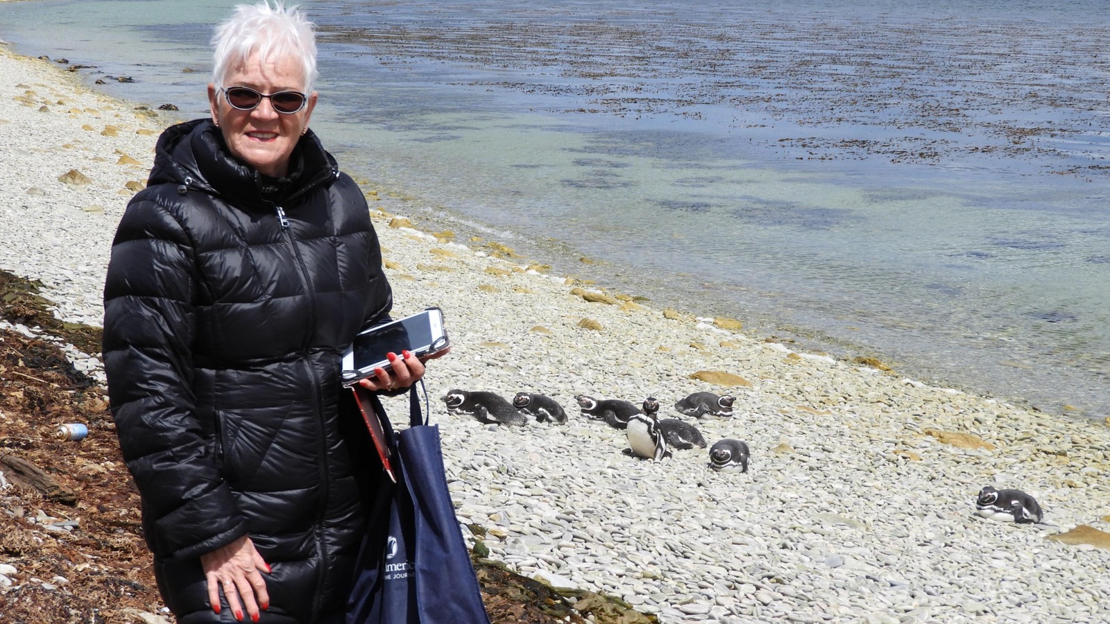 Danielle Lemieux et des pingouins aux îles Malouines Danielle Lemieux et des pingouins aux îles Malouines