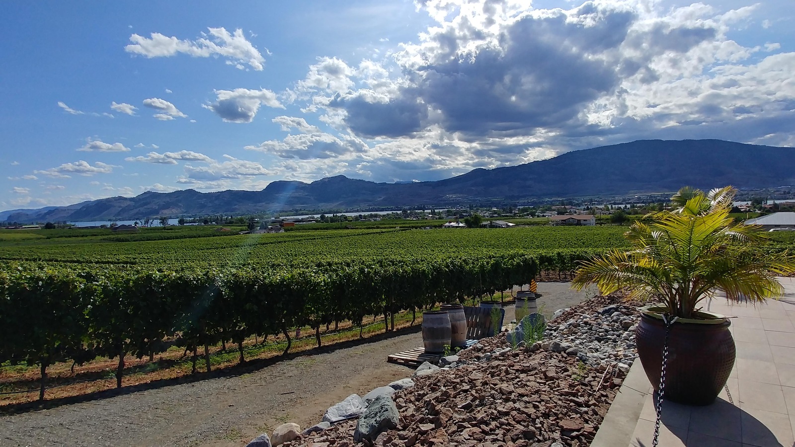 Des vignobles dans la vallée de l’Okanagan, en Colombie-Britannique Des vignobles dans la vallée de l’Okanagan, en Colombie-Britannique