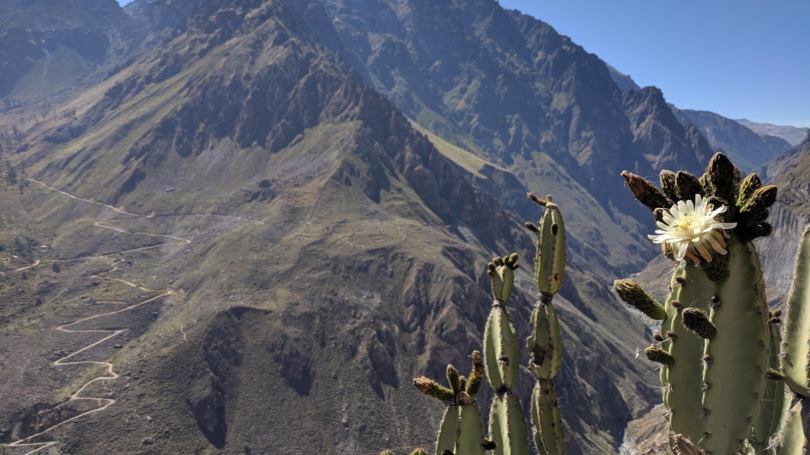 Le canyon de Colca, au Pérou. Le canyon de Colca, au Pérou.