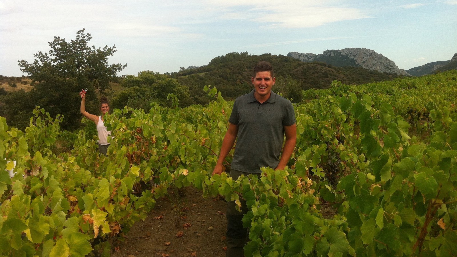 Joanie Marchand et Jean-Philippe Reid faisant les vendanges Joanie Marchand et Jean-Philippe Reid faisant les vendanges