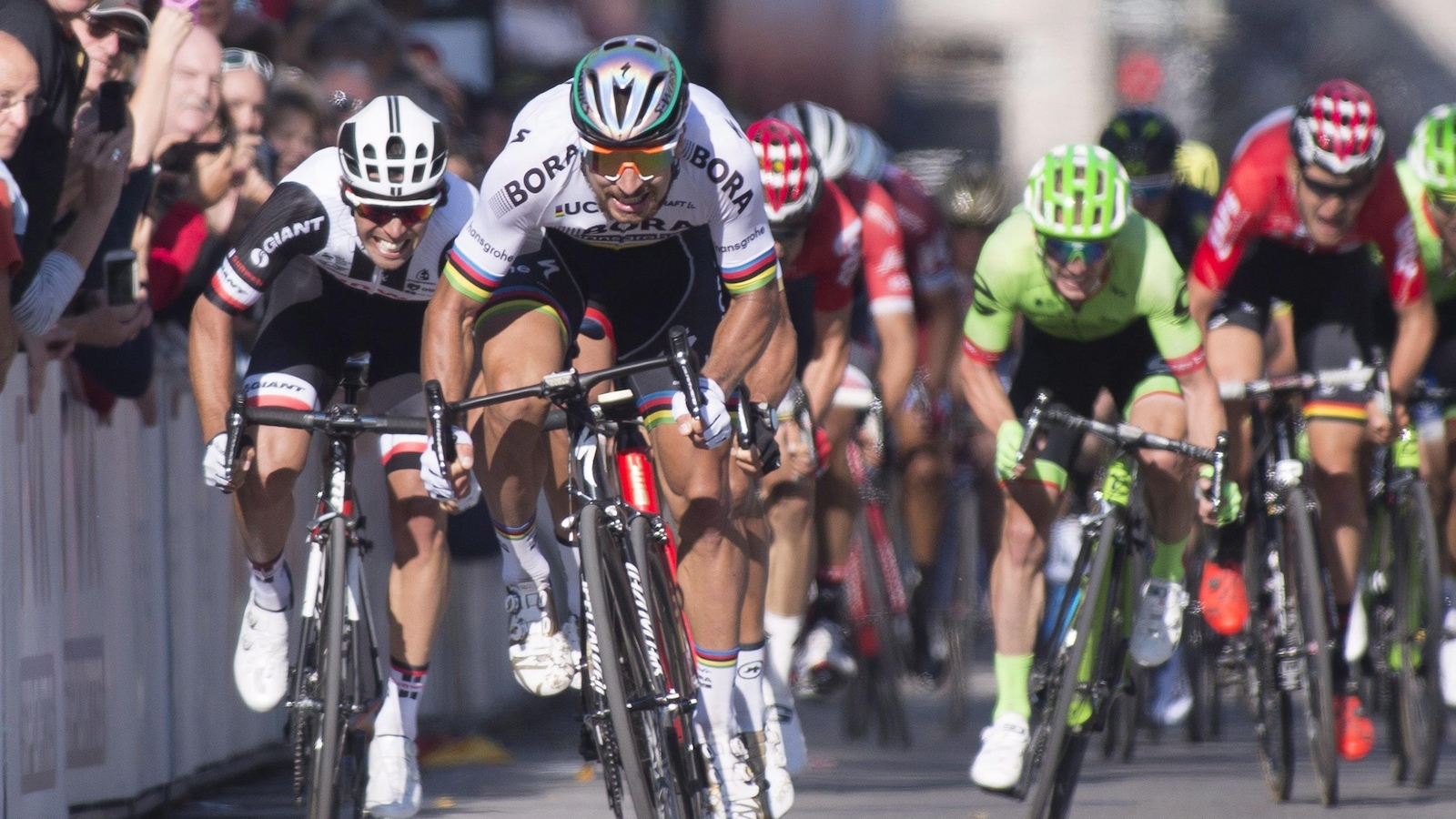 Peter Sagan Peter Sagan