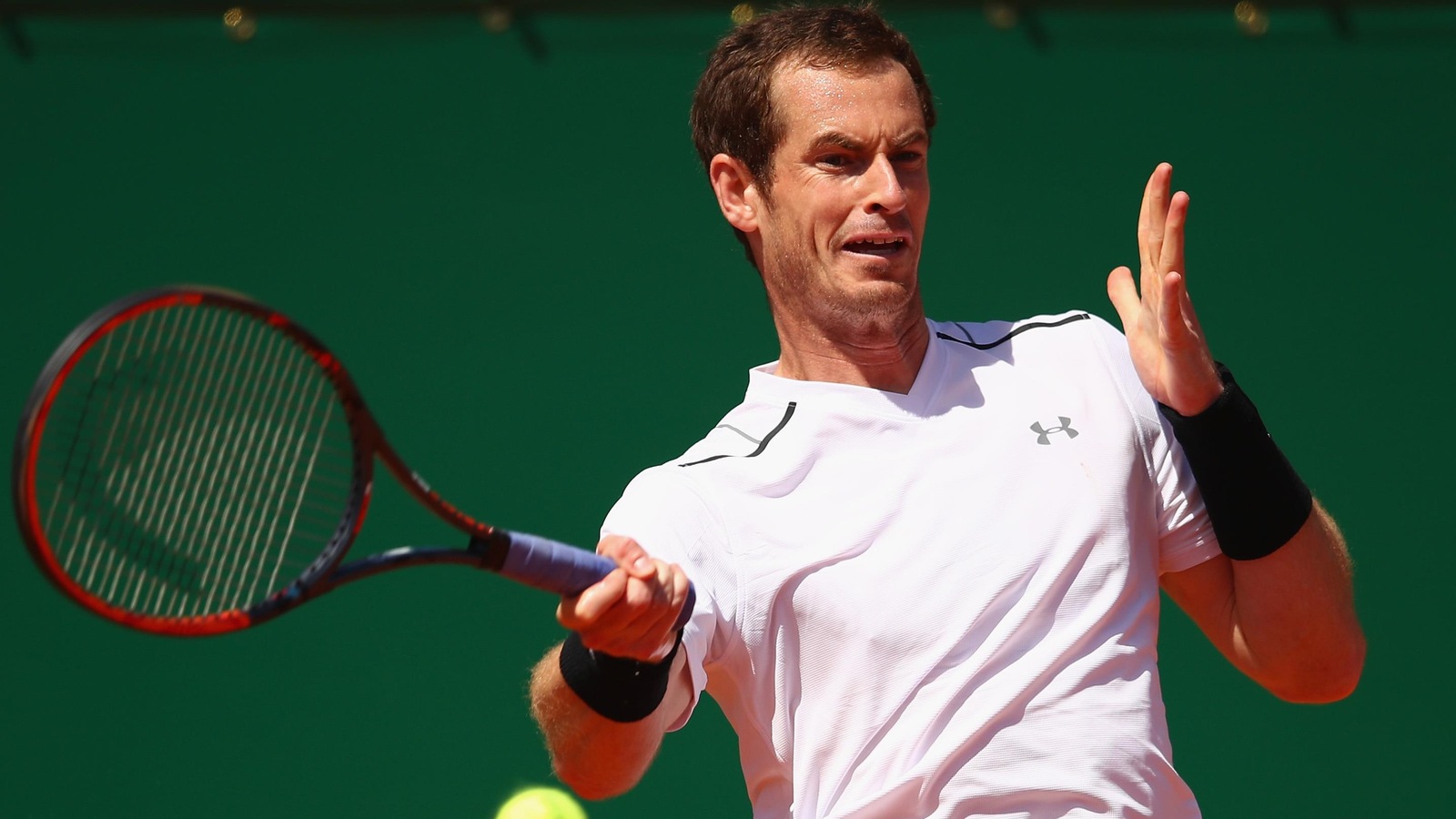 Andy Murray Andy Murray