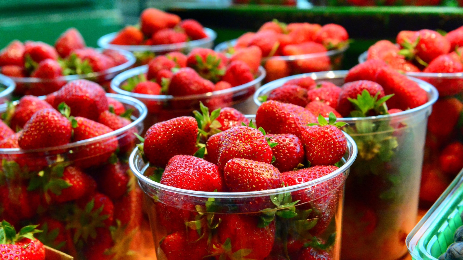Des pots sont remplis de fraises. 