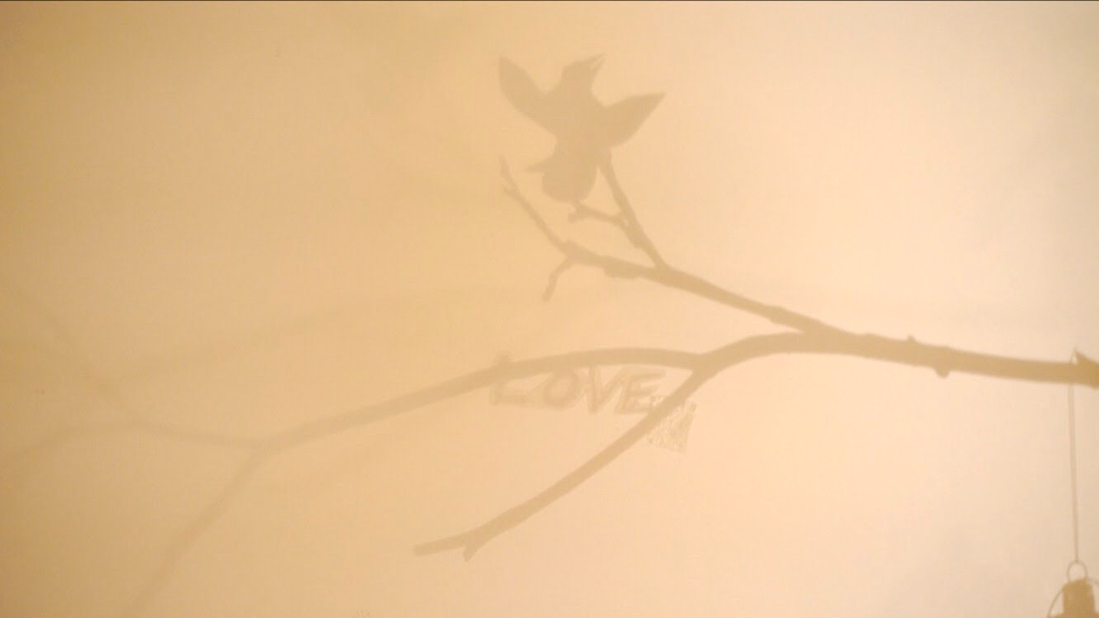 « The light in the shadow » qui fait partie de l'exposition « 12 trees » présentée au Musée Gardiner « The light in the shadow » qui fait partie de l'exposition « 12 trees » présentée au Musée Gardiner