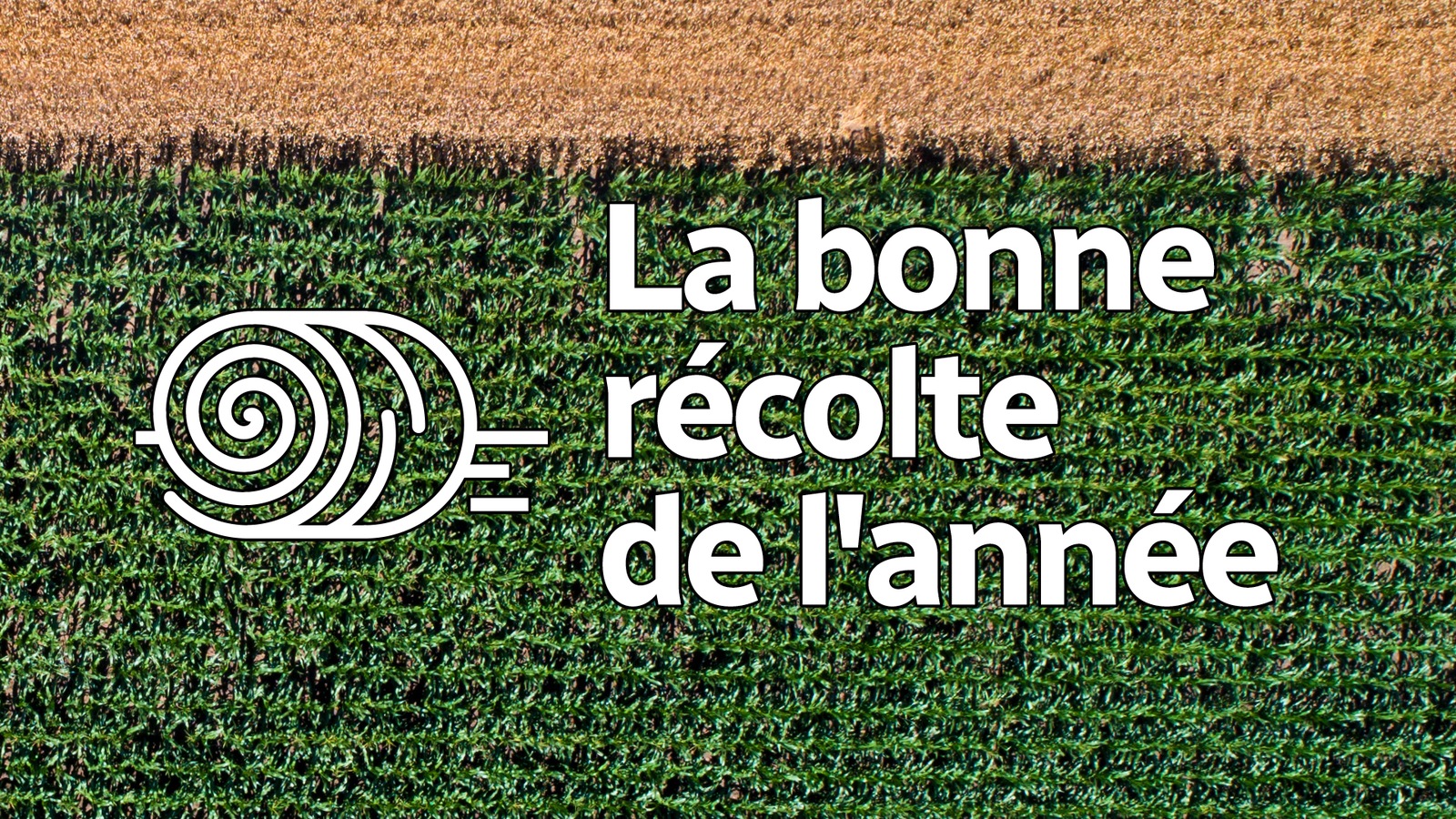 Infographie : un champ avec texte sur image Infographie : un champ avec texte sur image