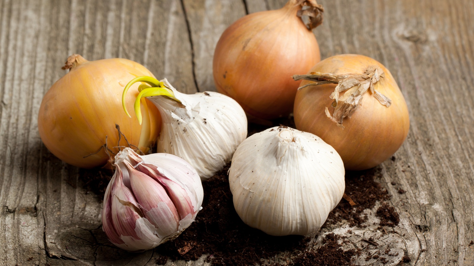 De nombreux aliments, comme l'oignon et l'ail, contiennent des fructanes. De nombreux aliments, comme l'oignon et l'ail, contiennent des fructanes.