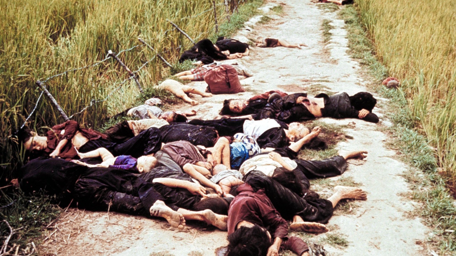 Des corps de femmes et d'enfants assassinés dans un chemin de My Lai, en mars 1968. Des corps de femmes et d'enfants assassinés dans un chemin de My Lai, en mars 1968.