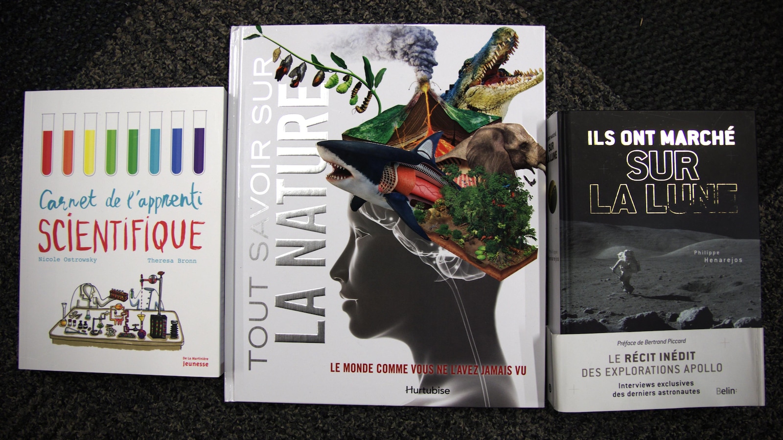 Trois couvertures livres alignées. Trois couvertures livres alignées.