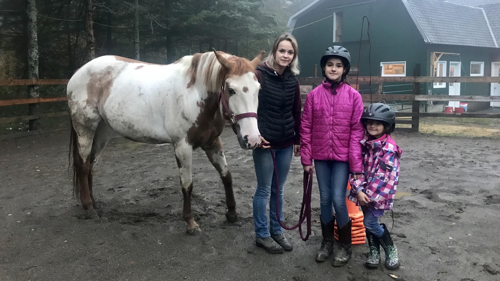 Une femme et deux petites filles sont dans un manège aux côtés d'un cheval. Une femme et deux petites filles sont dans un manège aux côtés d'un cheval.