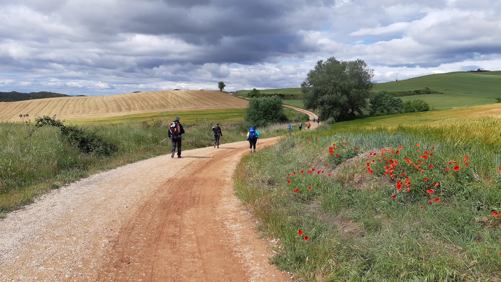 Un groupe de pèlerin marche sur une route de terre battue au milieu de champs. Un groupe de pèlerin marche sur une route de terre battue au milieu de champs.