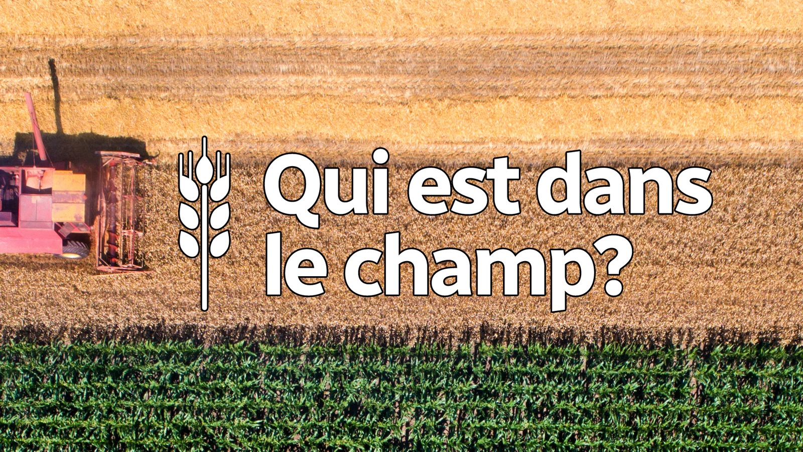 Infographie : un champ avec texte sur image Infographie : un champ avec texte sur image