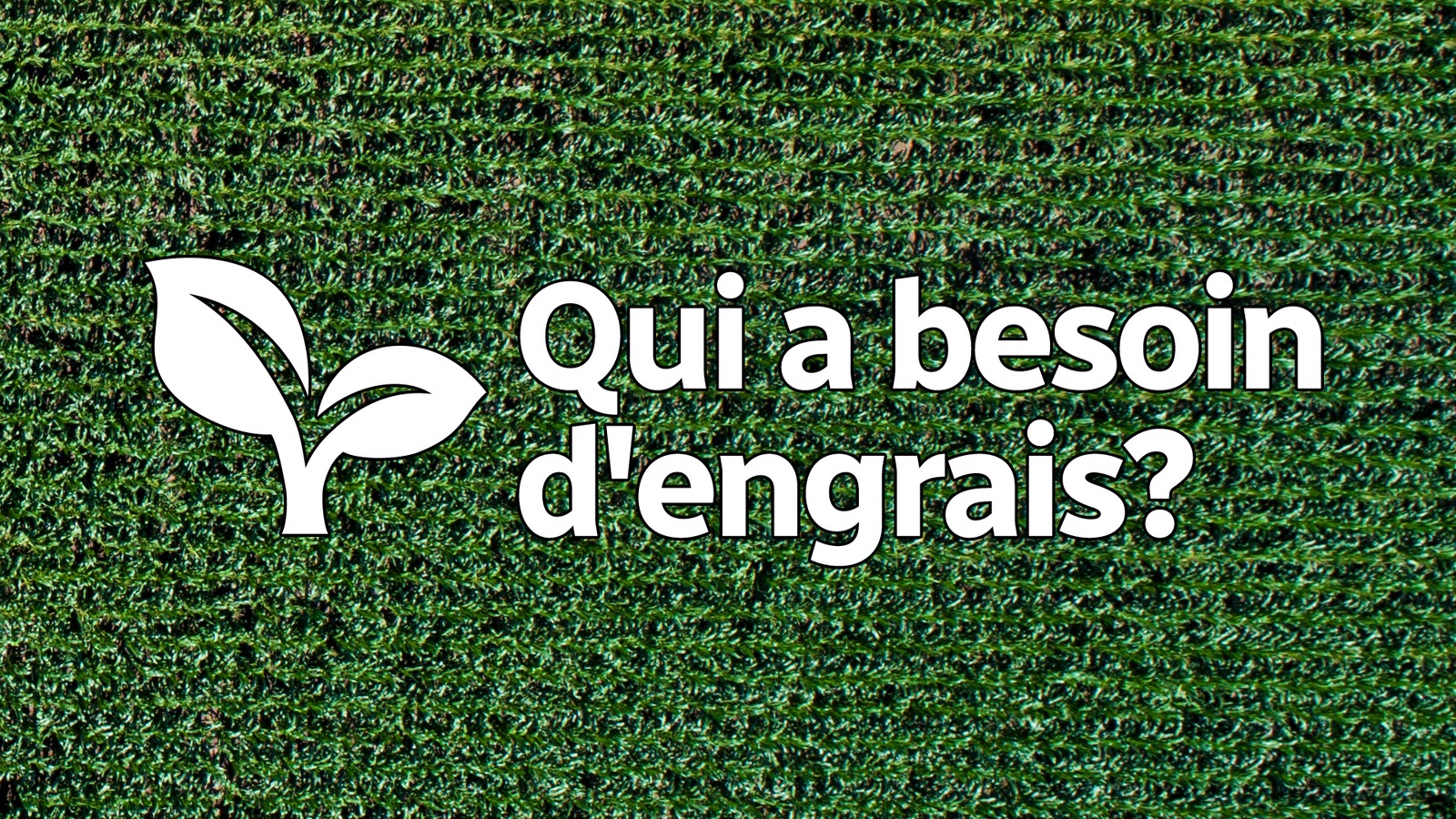Infographie : un champ avec texte sur image Infographie : un champ avec texte sur image