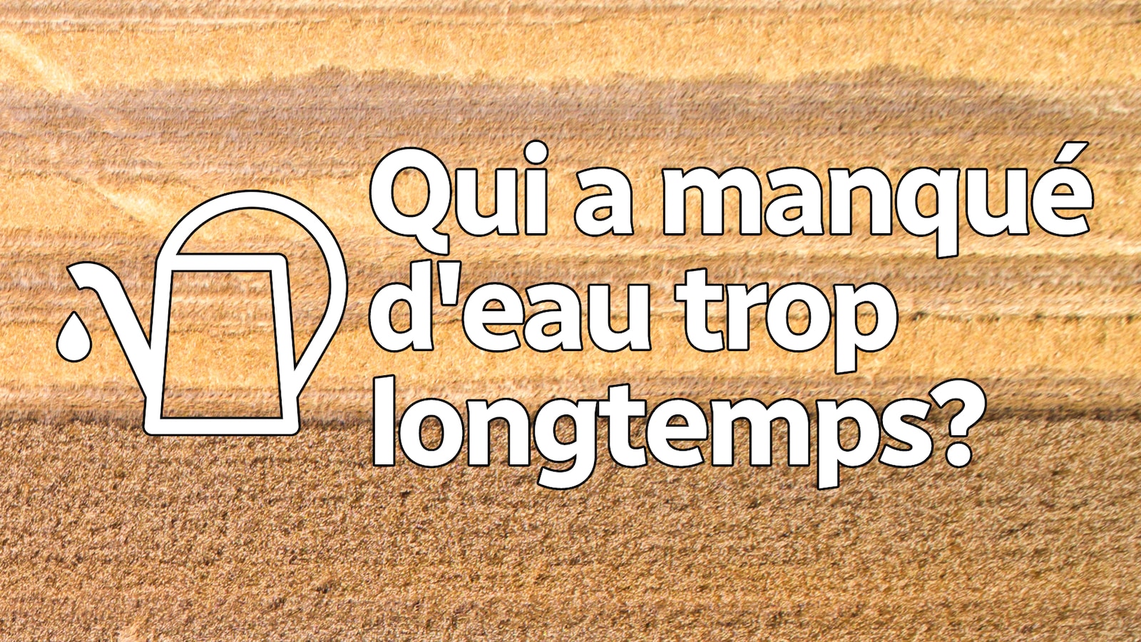 Infographie : un champ avec texte sur image Infographie : un champ avec texte sur image