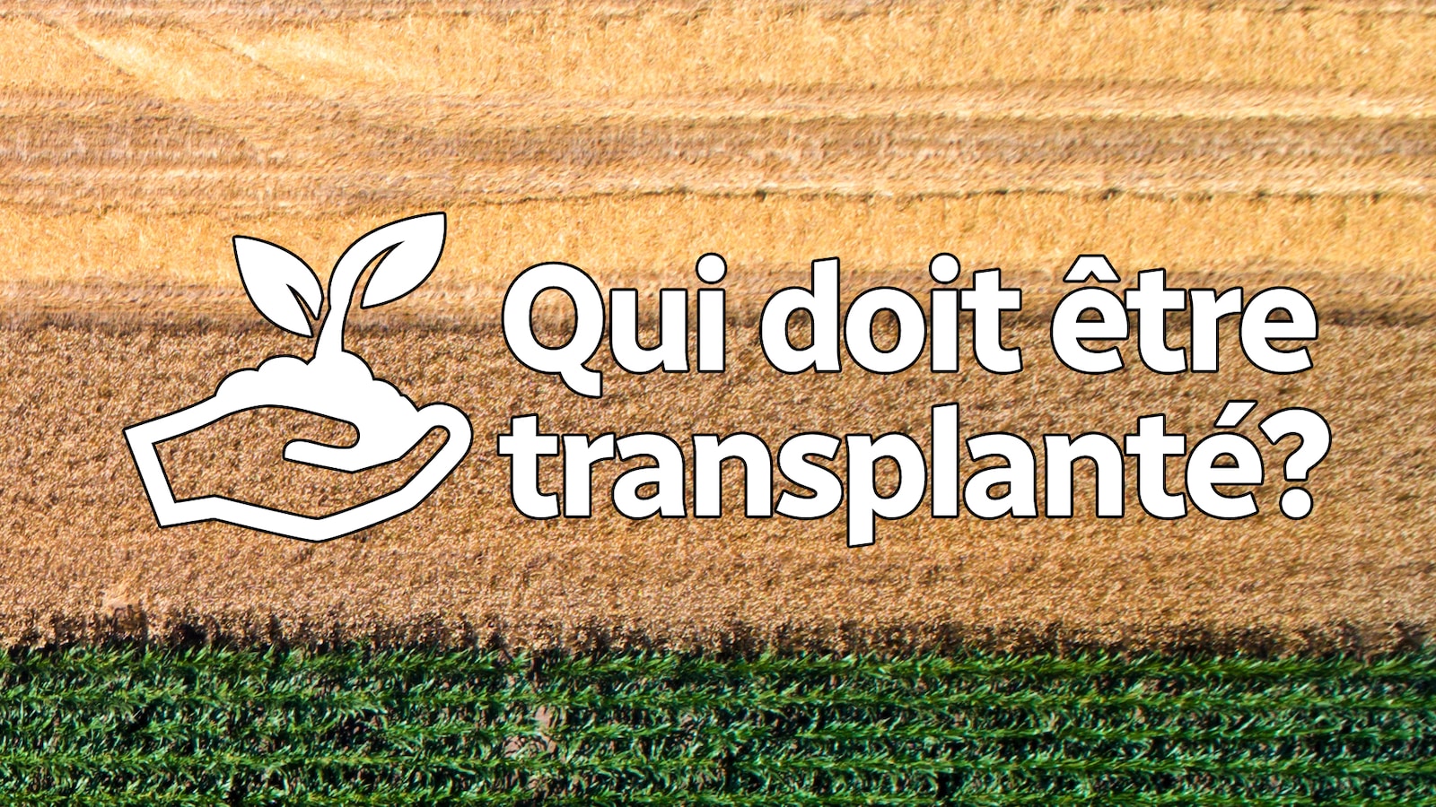 Infographie : un champ avec texte sur image Infographie : un champ avec texte sur image