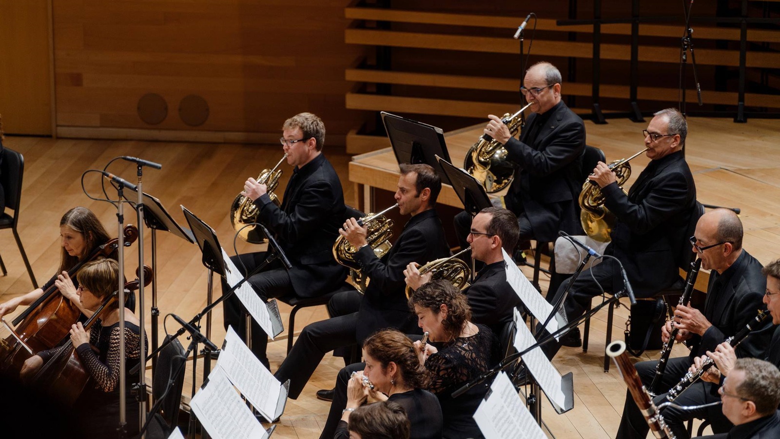 Des joueurs de cor de l'orchestre métropolitain. Des joueurs de cor de l'orchestre métropolitain.