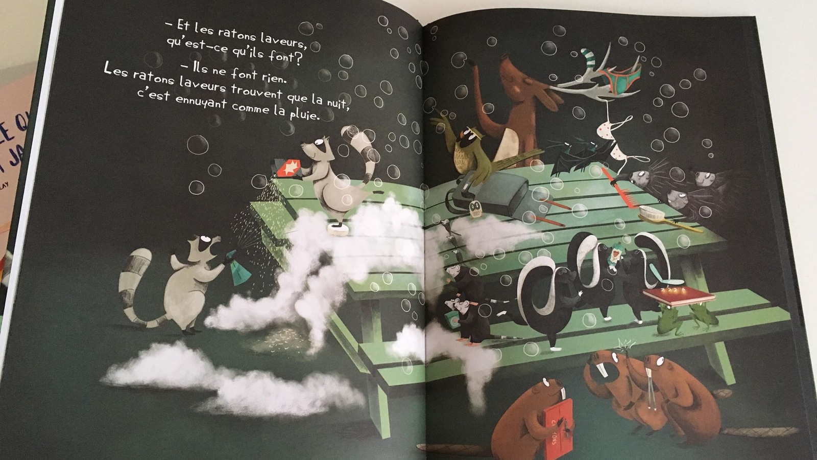 On voit l’intérieur d'un livre avec des illustrations de différents animaux sauvages. Un raton laveur, des marmottes et un hibou. On voit l’intérieur d'un livre avec des illustrations de différents animaux sauvages. Un raton laveur, des marmottes et un hibou.