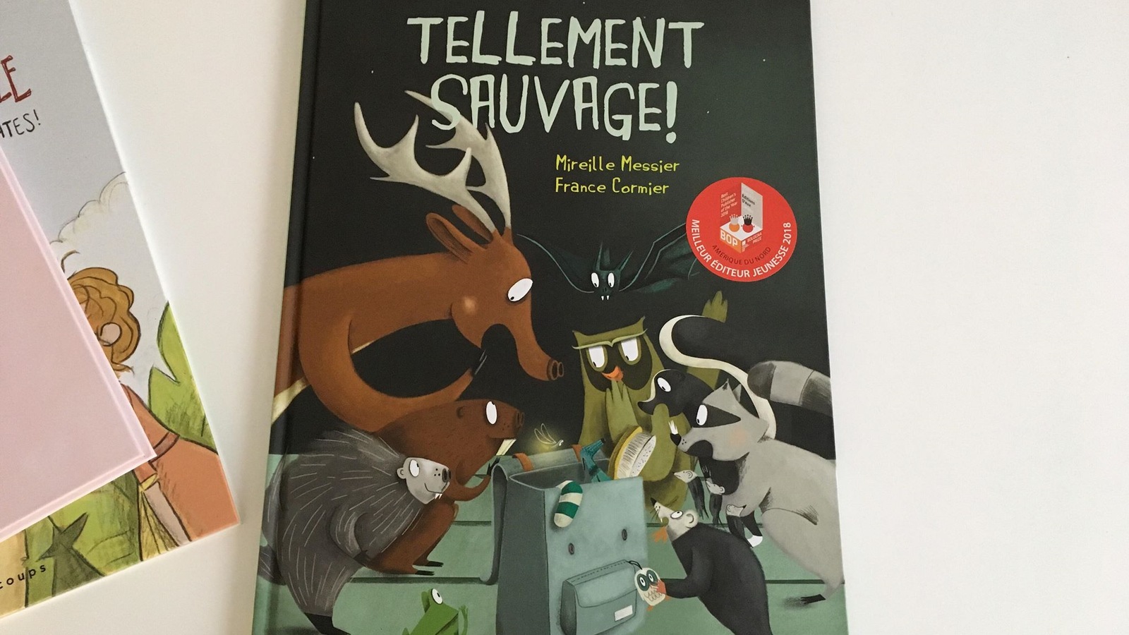 On voit la couverture d'un livre jeunesse. Il y a des animaux qui y sont illustrés dessus: un orignal, un raton laveur, un hibou, une souris. On voit la couverture d'un livre jeunesse. Il y a des animaux qui y sont illustrés dessus: un orignal, un raton laveur, un hibou, une souris.