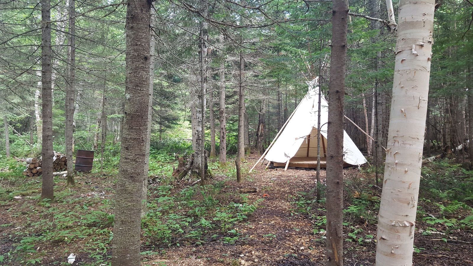 Les Autochtones et non-Autochtones peuvent louer des tipis traditionnels pour passer la nuit en forêt. Les Européens sont particulièrement intéressés par ces expériences touristiques authentiques. Les Autochtones et non-Autochtones peuvent louer des tipis traditionnels pour passer la nuit en forêt. Les Européens sont particulièrement intéressés par ces expériences touristiques authentiques.