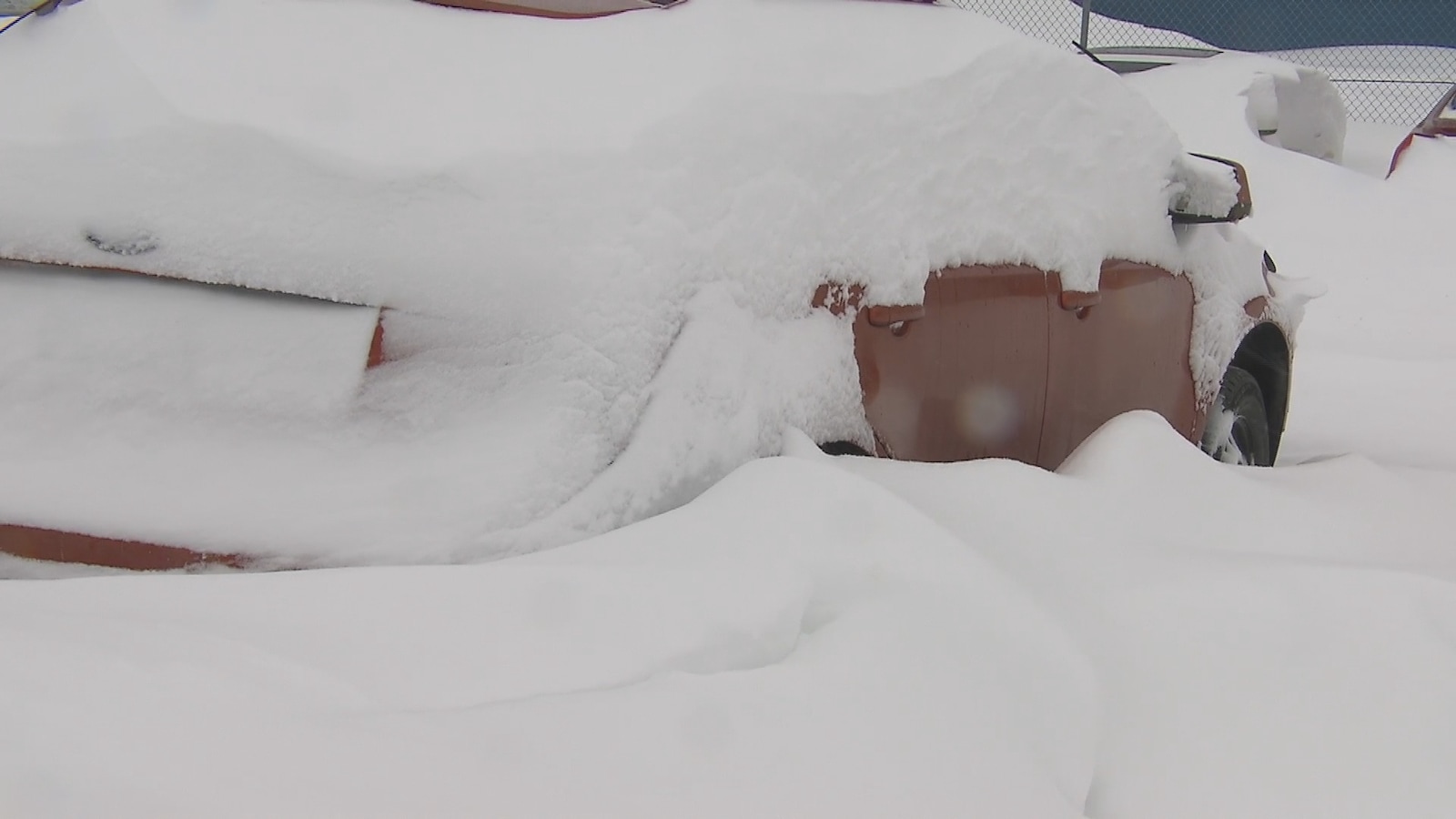 De nombreuses voitures ont été ensevelies sous la neige De nombreuses voitures ont été ensevelies sous la neige