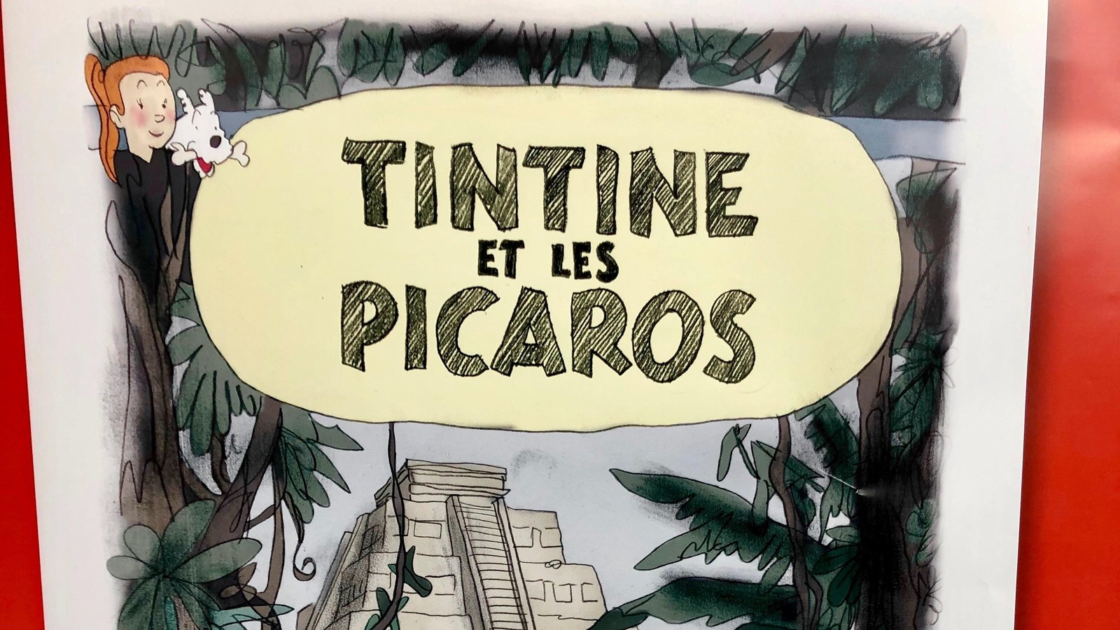 Photo de la couverture d'une bande dessinée nommée Tintine et les picaros. Photo de la couverture d'une bande dessinée nommée Tintine et les picaros.