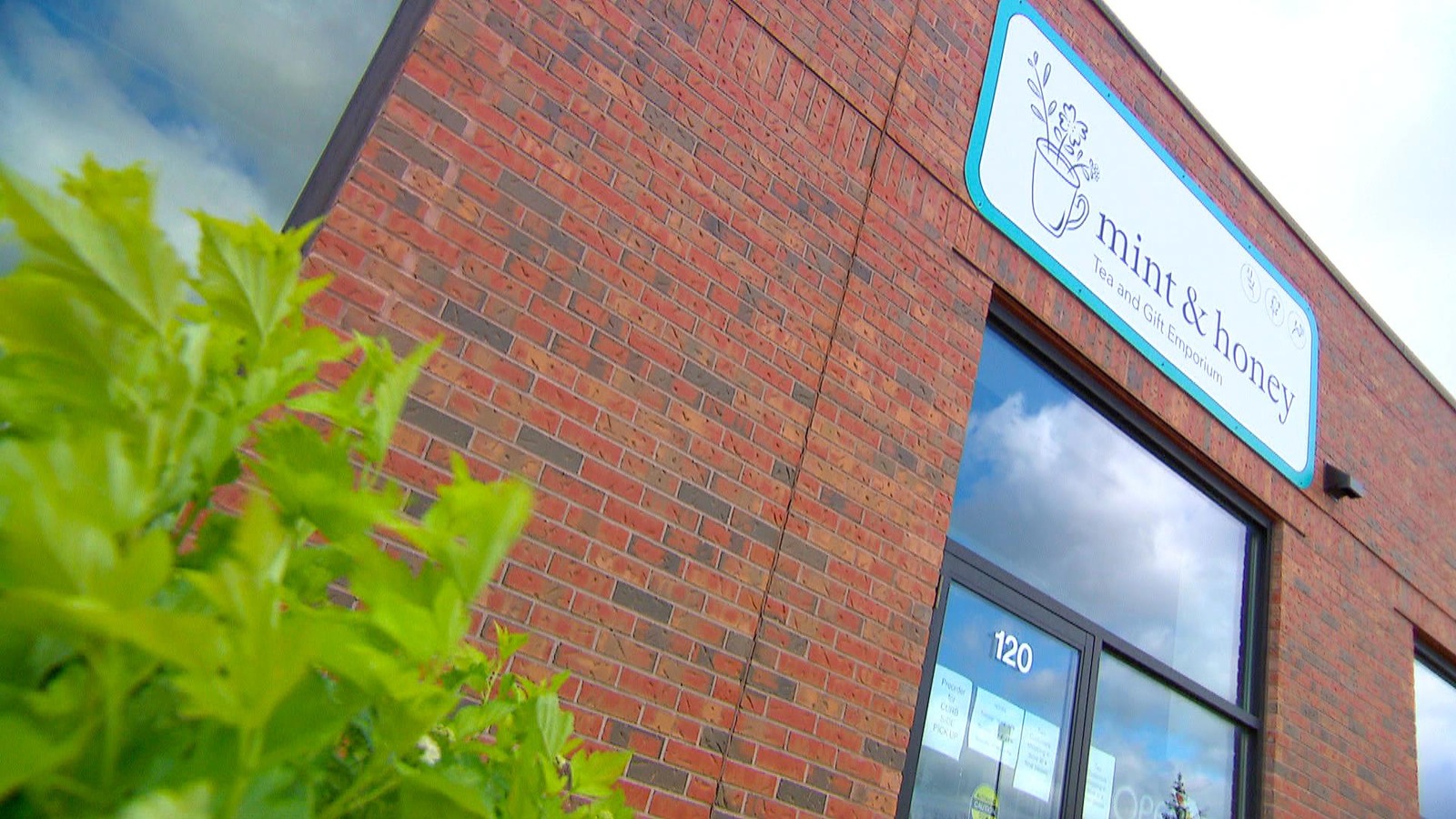 Segment Tout inclus ICI RadioCanada.ca