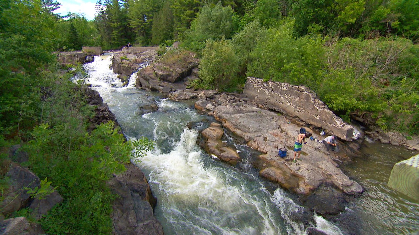 Une chute en forêt. Une chute en forêt.