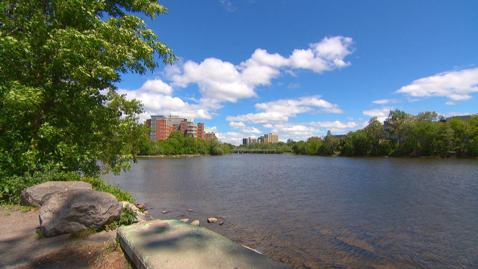 Une rive d'une rivière. Une rive d'une rivière.