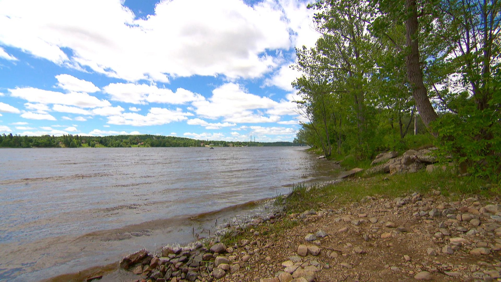 Une rive d'une rivière. Une rive d'une rivière.