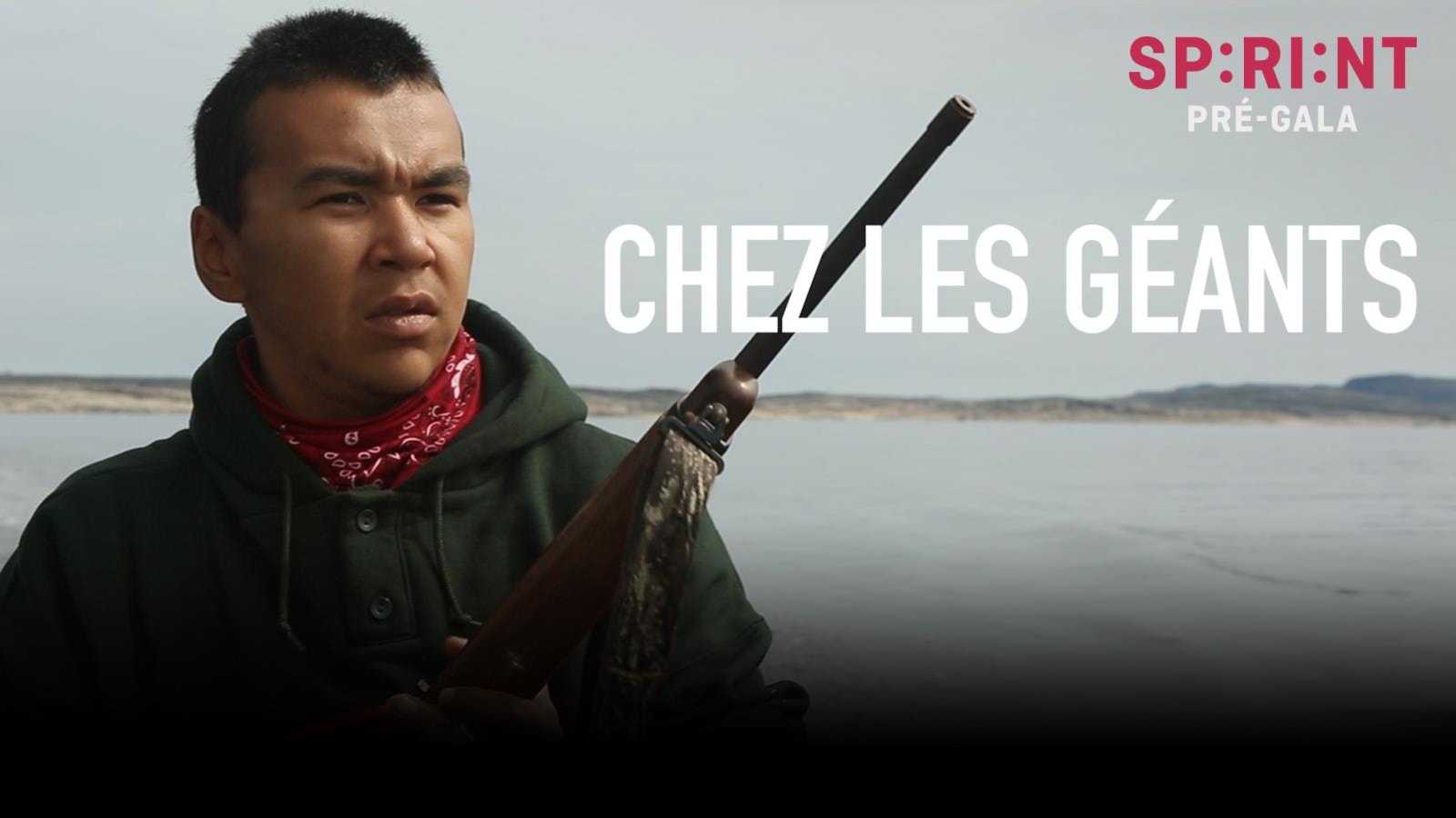 L'affiche du documentaire L'affiche du documentaire