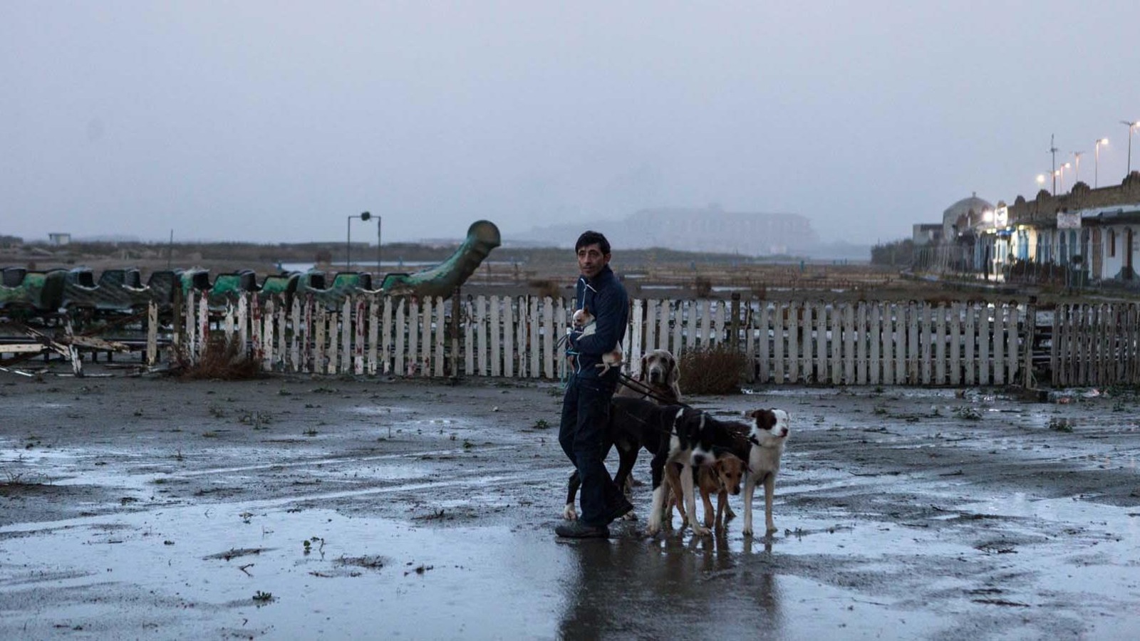Un homme tient des chiens en laisse dans un terrain vague. Un homme tient des chiens en laisse dans un terrain vague.
