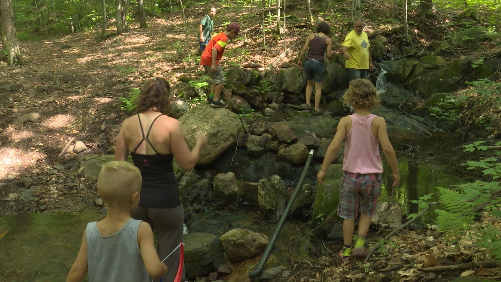 Parents et enfants marchent dans la forêt. Parents et enfants marchent dans la forêt.