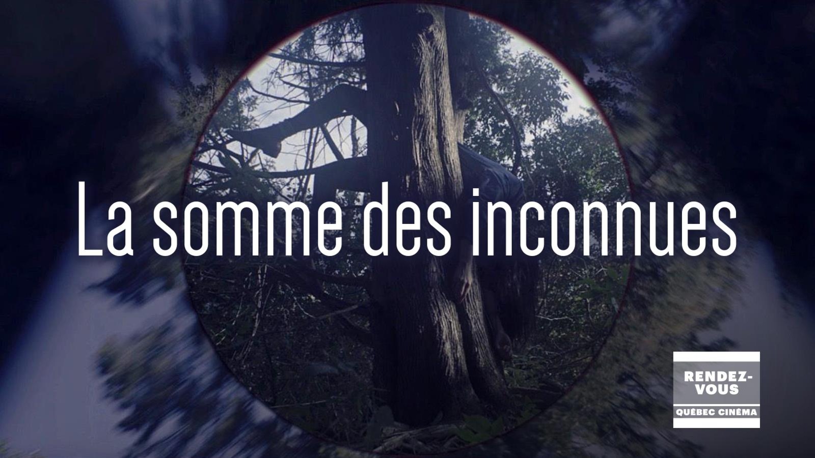 L'affiche du film. L'affiche du film.