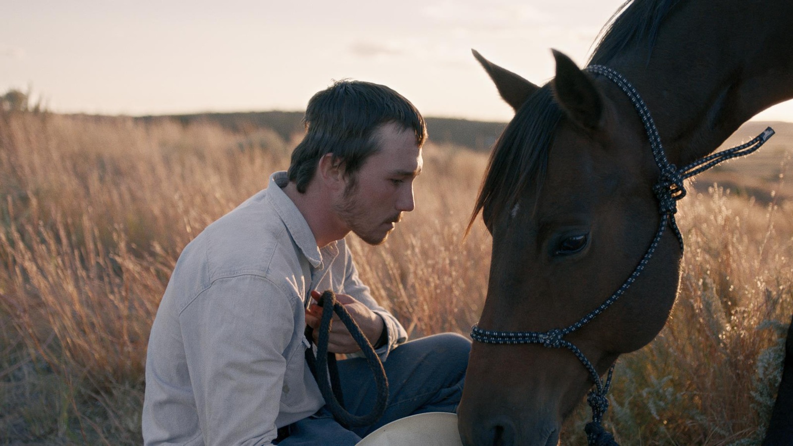 Dans un champ, un homme accroupi à côté de son cheval qui broute. Dans un champ, un homme accroupi à côté de son cheval qui broute.