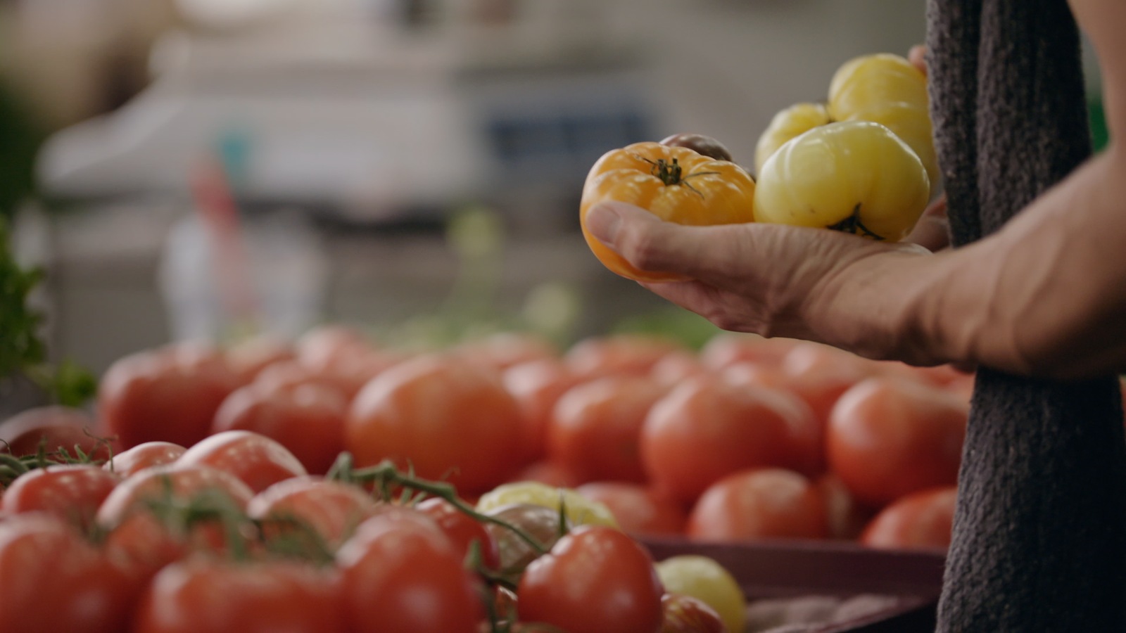 Une main tient des tomates. Une main tient des tomates.