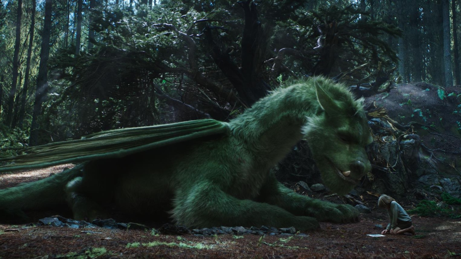 Un dragon vert assis veille sur un petit garçon en train de lire, dans une forêt. Un dragon vert assis veille sur un petit garçon en train de lire, dans une forêt.