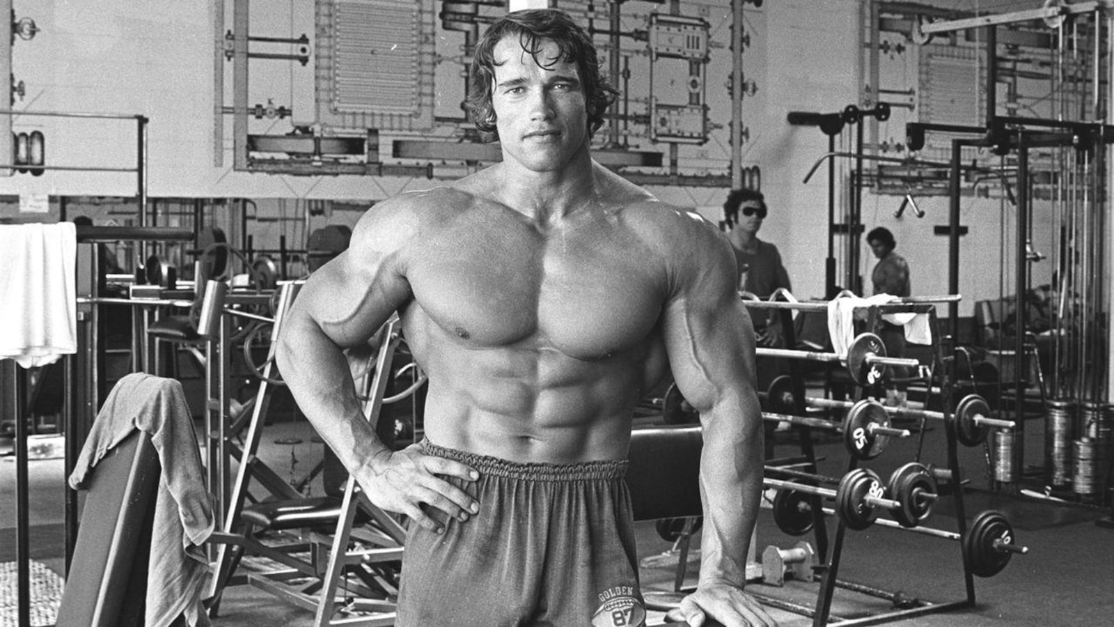 arnold blueprint to cut phase 3