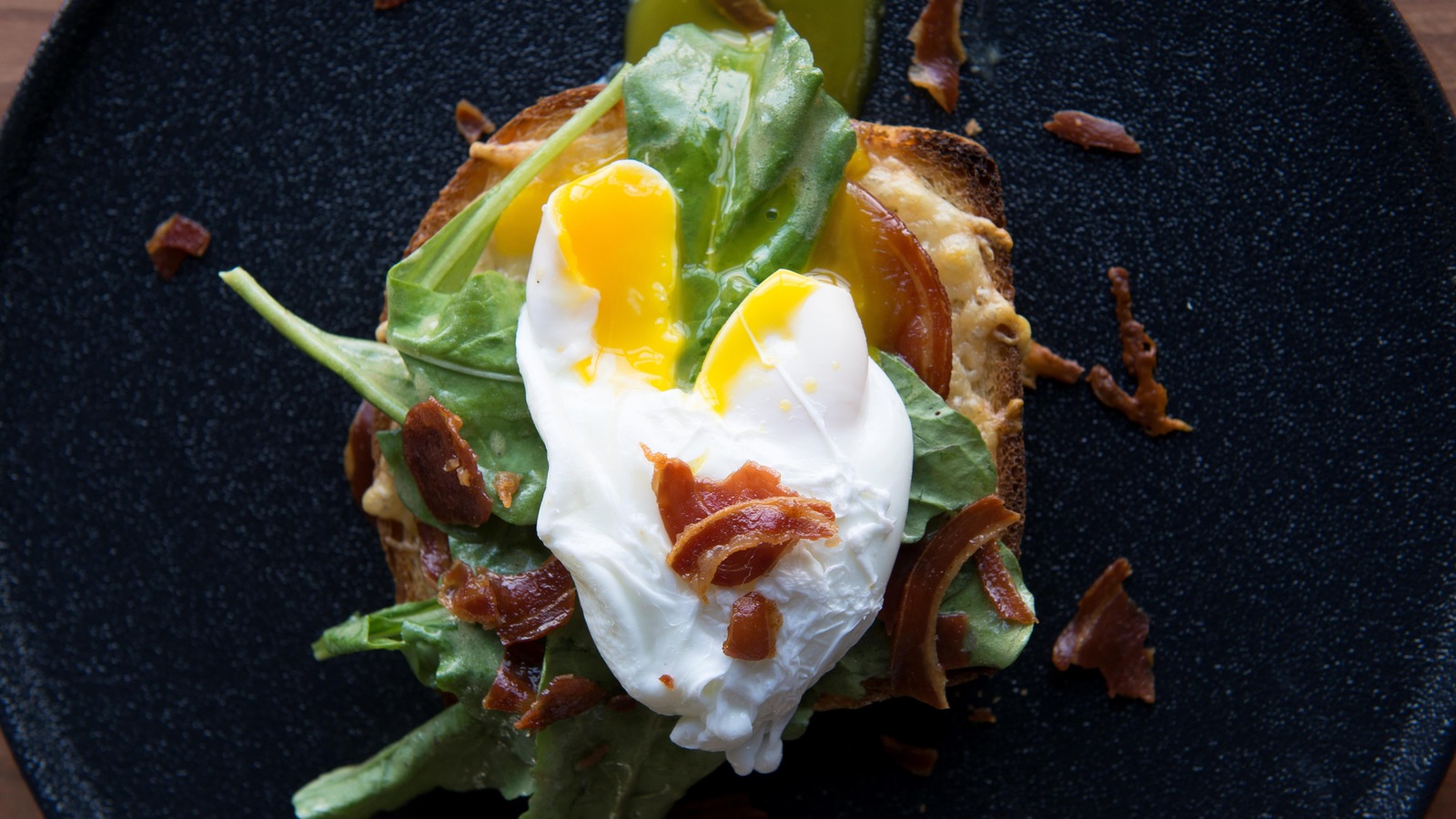Une tranche de pain gratinée au four surmontée de pancetta, de roquette et d'un œuf poché coulant. Une tranche de pain gratinée au four surmontée de pancetta, de roquette et d'un œuf poché coulant.