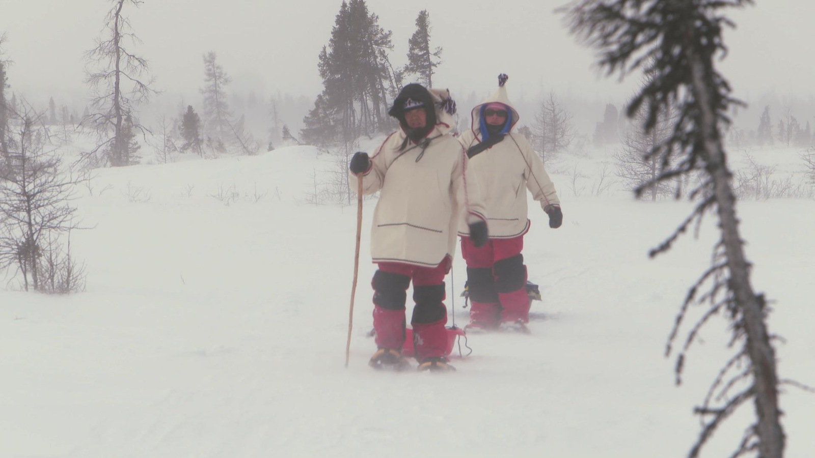 Des marcheurs progressent dans la forêt boréale en hiver Des marcheurs progressent dans la forêt boréale en hiver