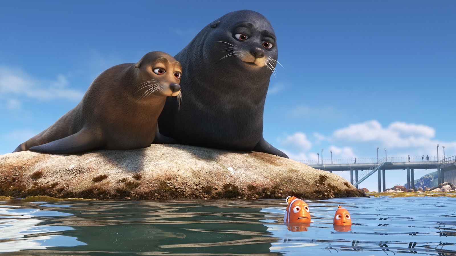 Deux otaries sur un rocher regardent deux poissons rouges dans l'eau. Deux otaries sur un rocher regardent deux poissons rouges dans l'eau.