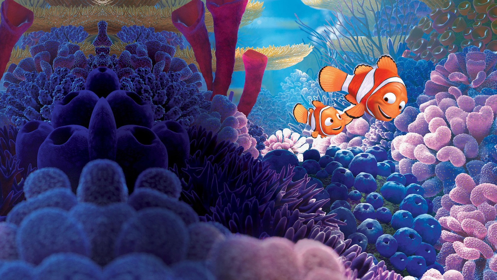 Nemo et son papa Nemo et son papa