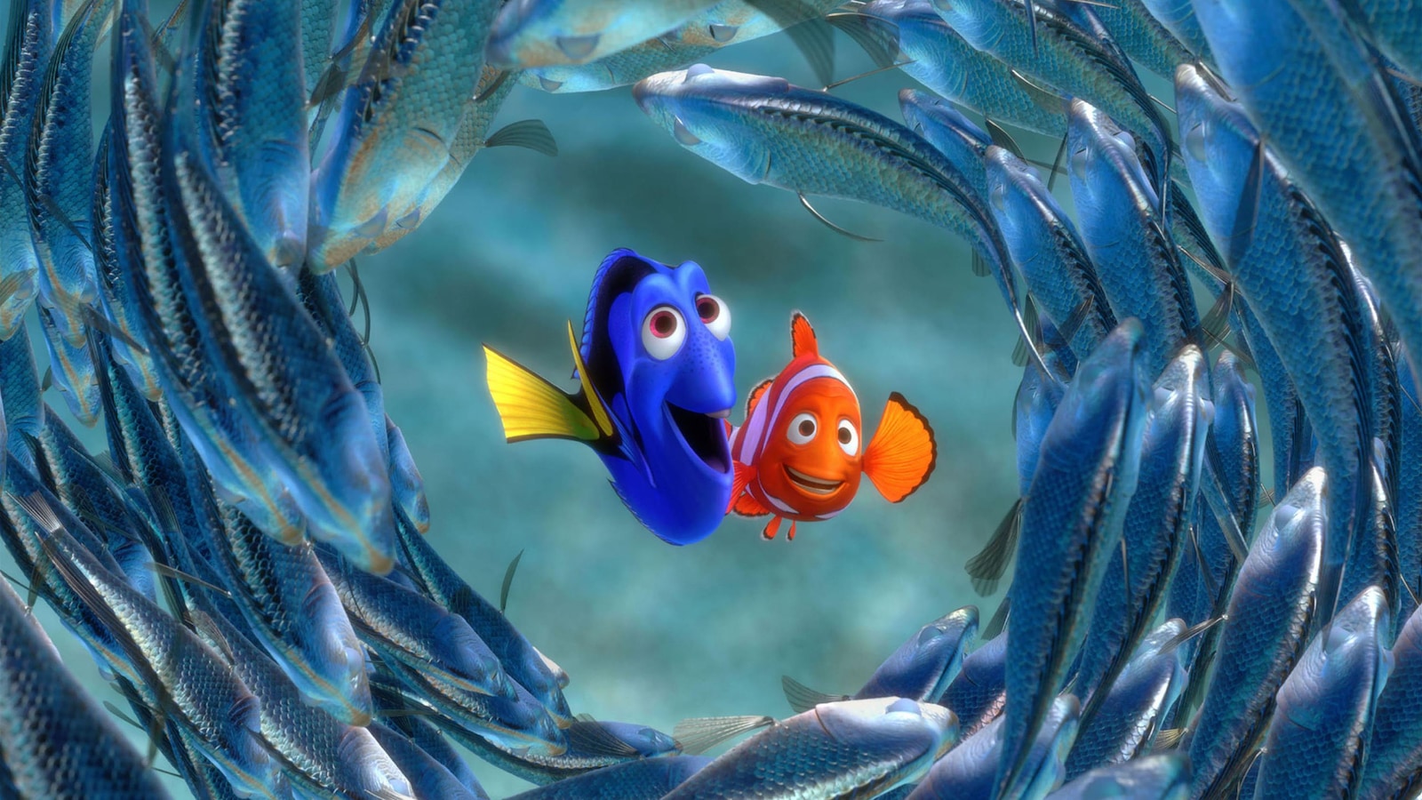Le papa de Nemo et Dory Le papa de Nemo et Dory