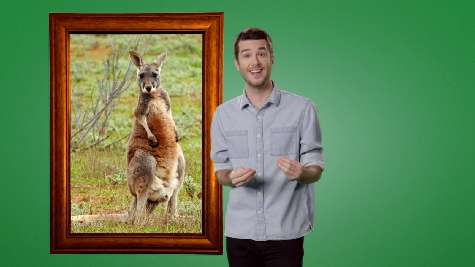 Il pose près d'un tableau avec un kangourou Il pose près d'un tableau avec un kangourou