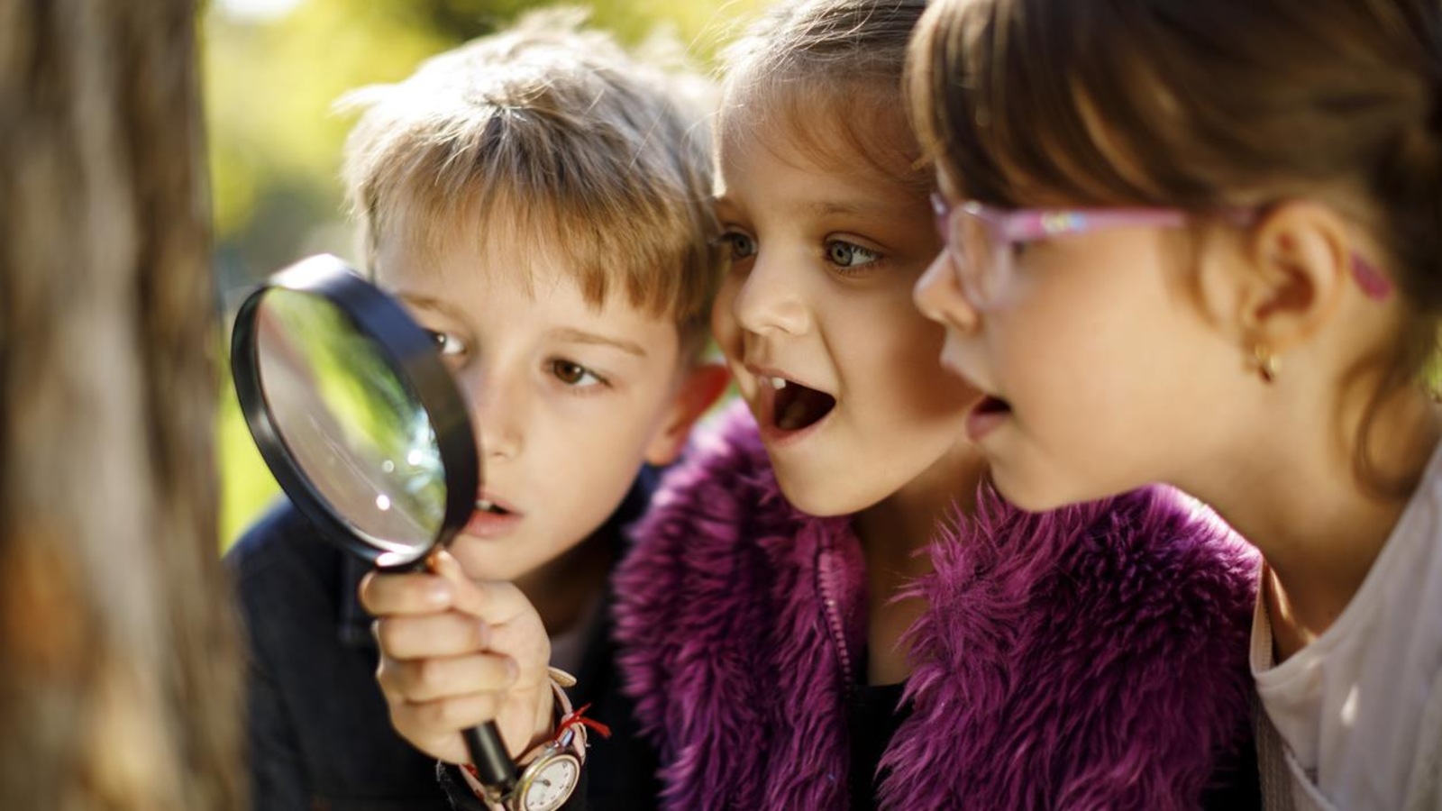 Les deux fillettes et le garçon regardent un arbre avec une loupe Les deux fillettes et le garçon regardent un arbre avec une loupe