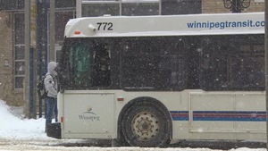 Un autobus de la Winnipeg Transit dans une photo d'archives