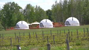 Des tentes en forme de dômes près des vignes.