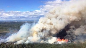 Image d'un feu de forêt à Stoddart Creek, au nord-est de la Colombie-Britannique, en 2016.