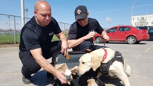 Des maîtres-chiens formés à Québec