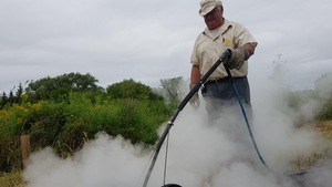 Un homme procède à l'élimination de plants d'herbe à poux avec de l'Eau chaude